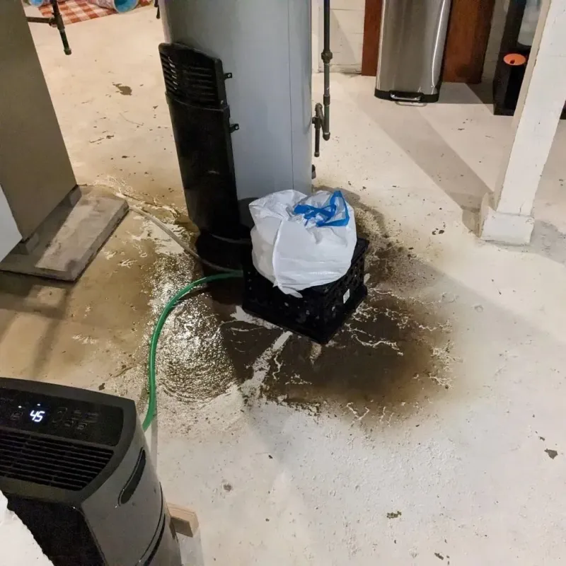 Sewage Backup Cleanup Service in Ben Avon, PA